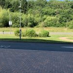 IMG_3850
